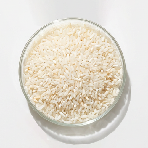 Rice Protein