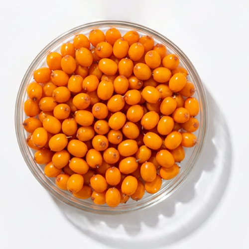 Sea Buckthorn